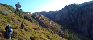 Ikaria Pathways 2016
