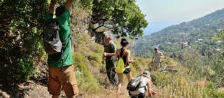 Volunteering for Greeks and Turks: Project pathways 2017