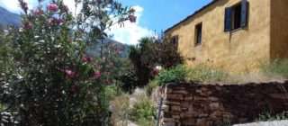 rooms in ikaria, Ikarian Centre