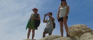 Excursions in Ikaria